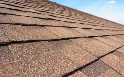 What to Expect During a Shingle Roof Repair Service