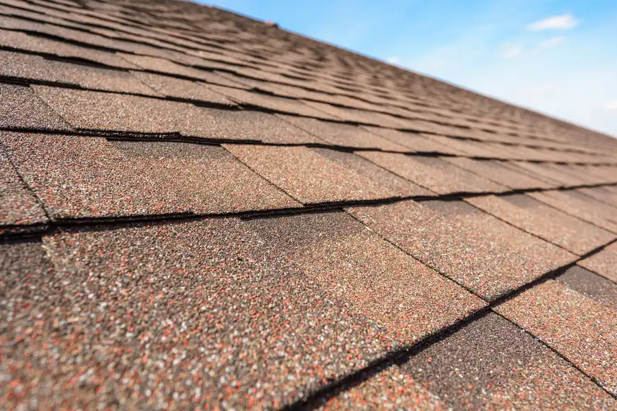 What to Expect During a Shingle Roof Repair Service