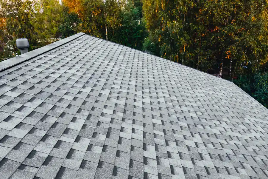 Professional Shingle Roof Installation in Florence, SC